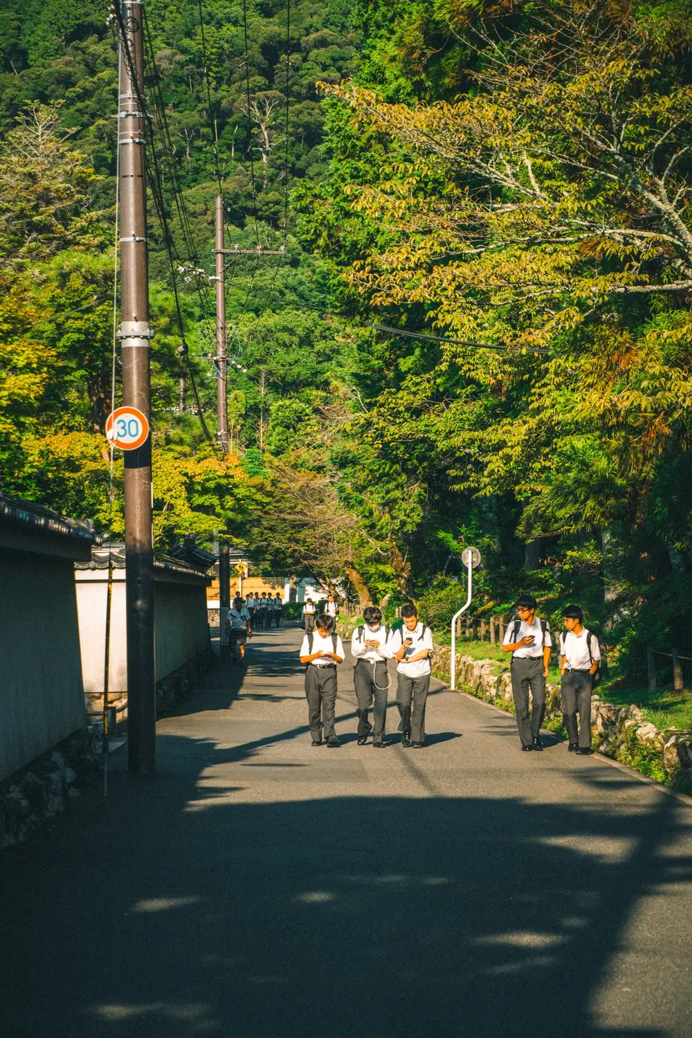 木立に囲まれた坂道を歩く生徒たち